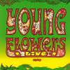 Young Flowers